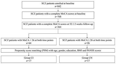 Plasma metabolomics of schizophrenia with cognitive impairment: A pilot study